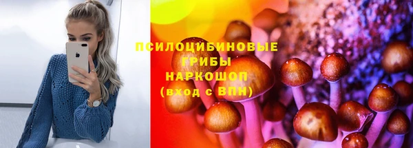 стафф Арсеньев