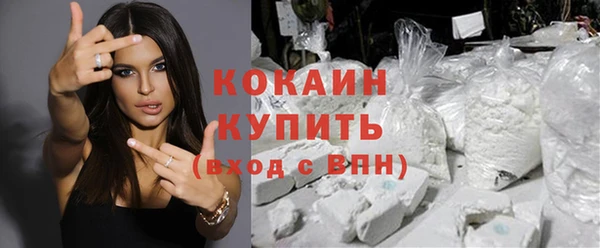 стафф Арсеньев